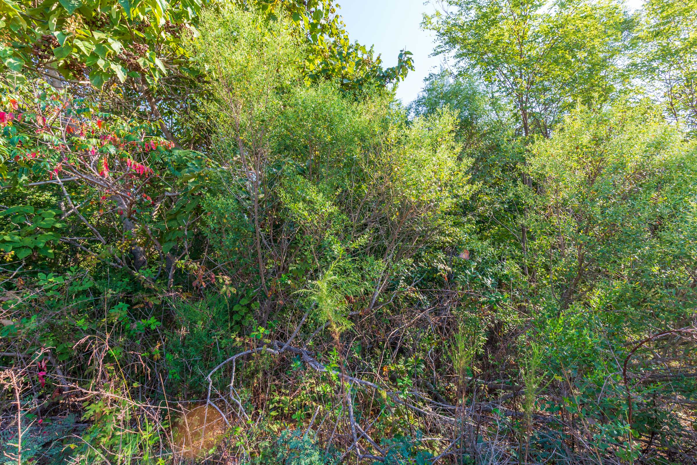 Tract 1 at Redemption Ridge in Wayne County, Tennessee