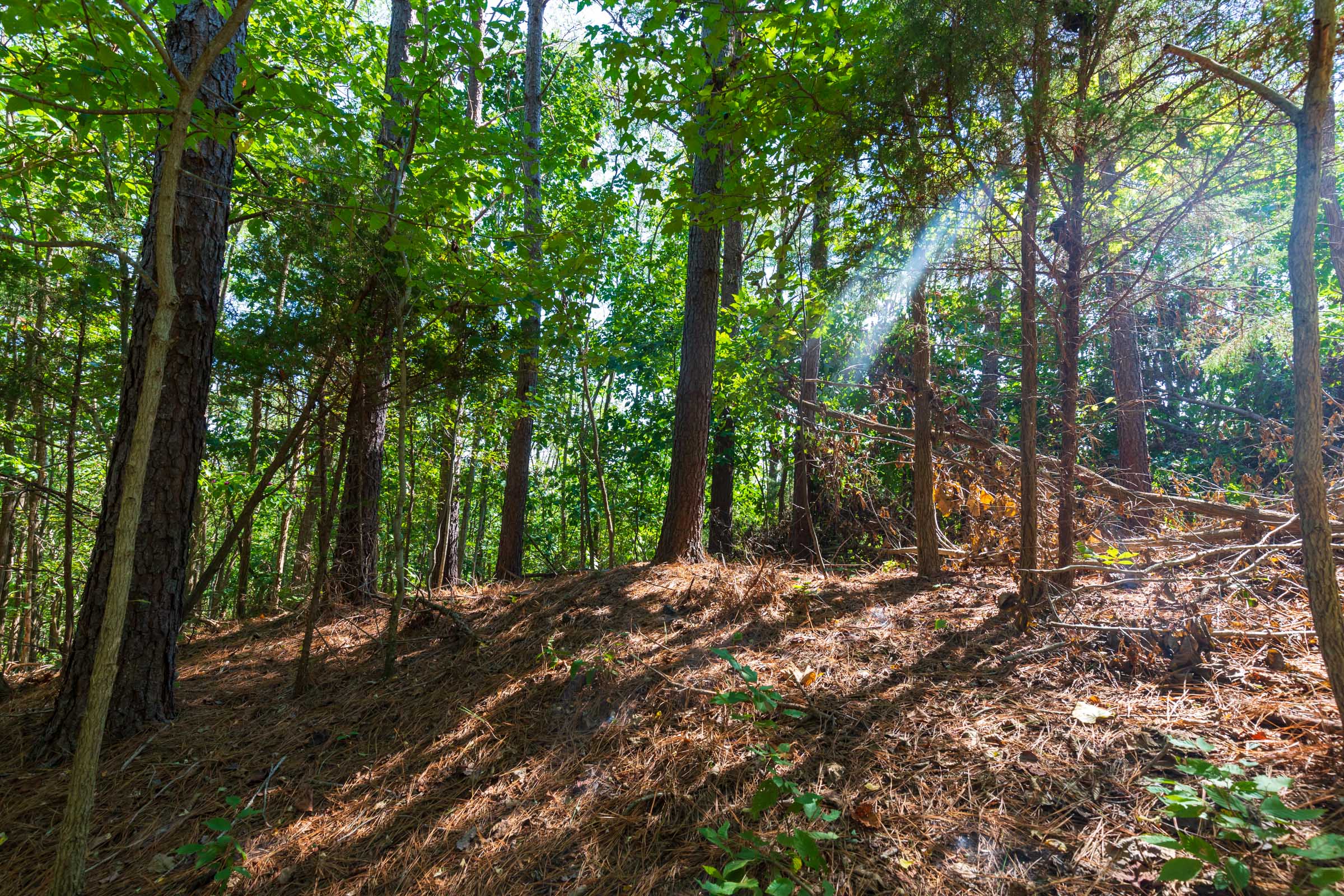 Tract 10 at Redemption Ridge in Wayne County, Tennessee