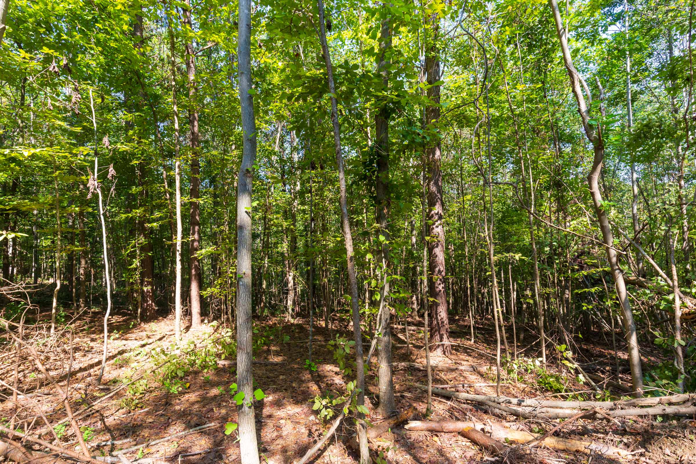 Tract 13 at Redemption Ridge in Wayne County, Tennessee