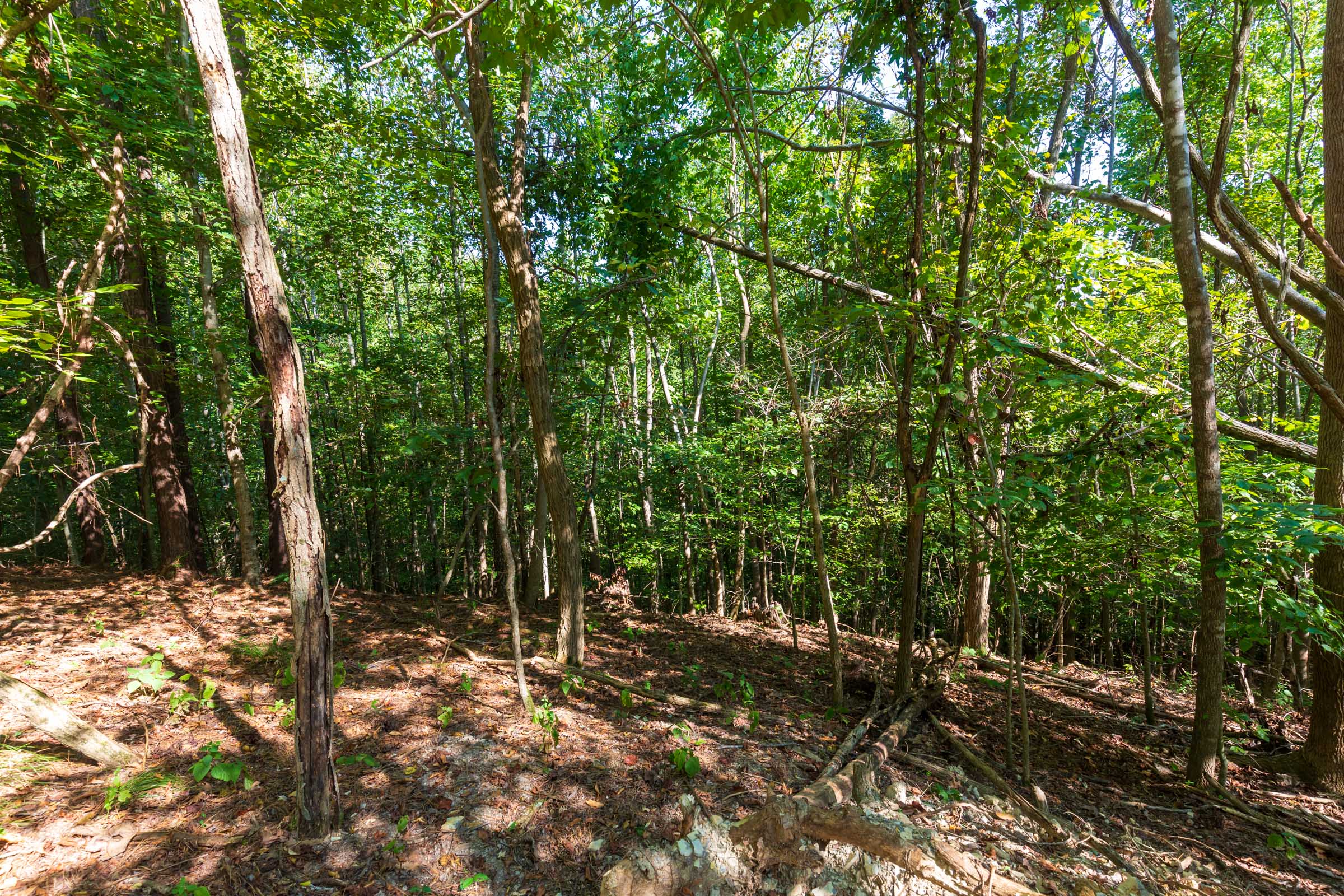 Tract 14 at Redemption Ridge in Wayne County, Tennessee