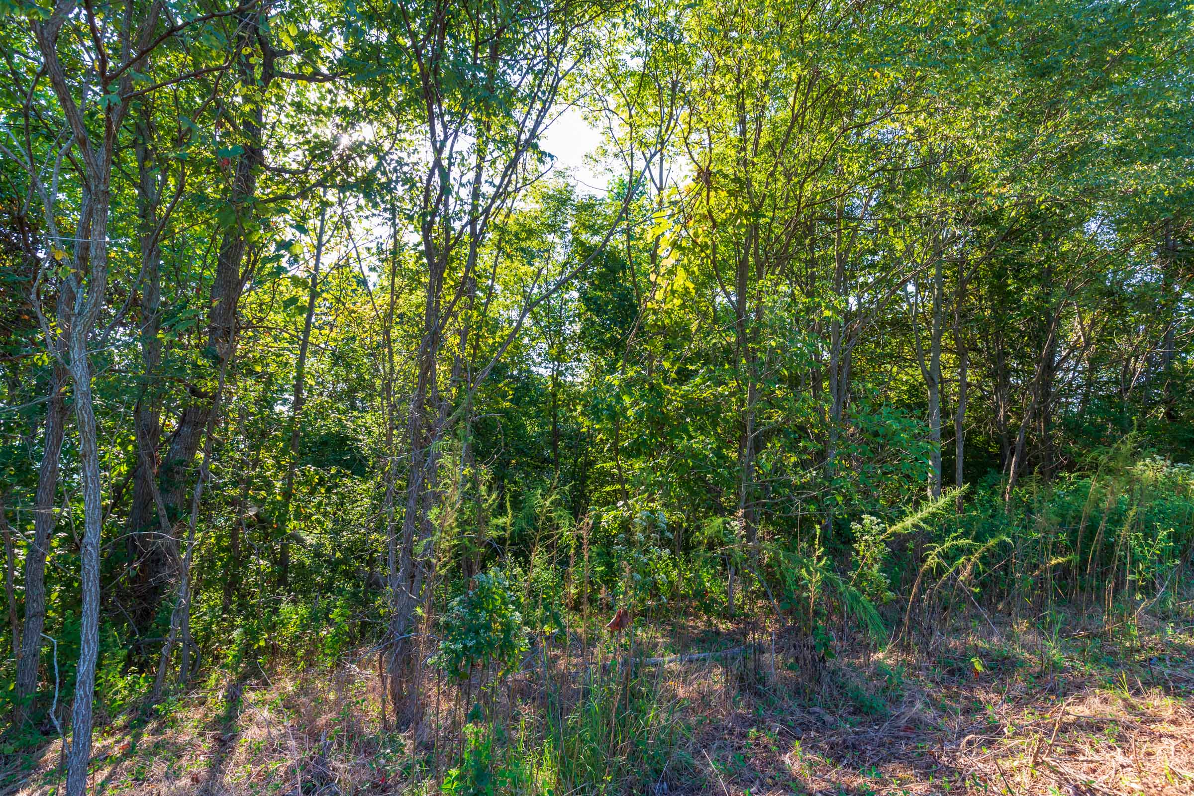Tract 2 at Redemption Ridge in Wayne County, Tennessee