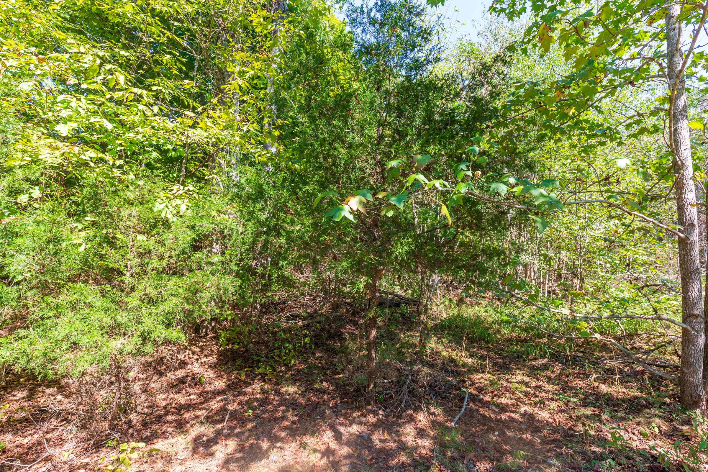 Tract 22 at Redemption Ridge in Wayne County, Tennessee