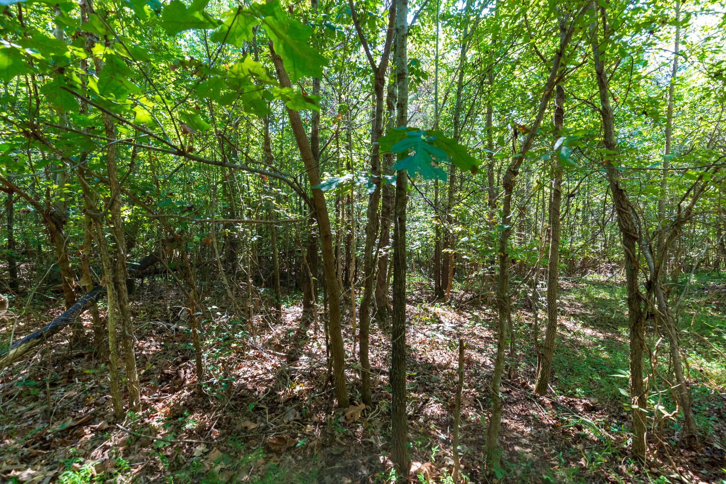 Tract 26 at Redemption Ridge in Wayne County, Tennessee