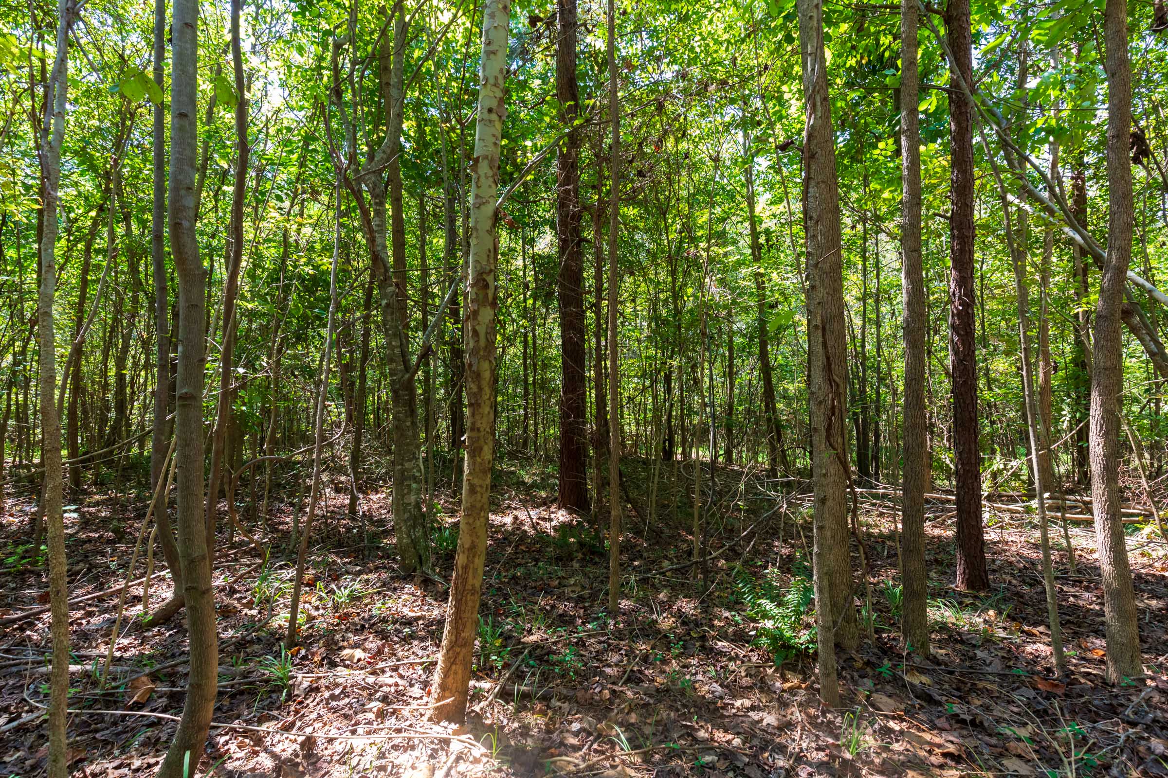 Tract 27 at Redemption Ridge in Wayne County, Tennessee