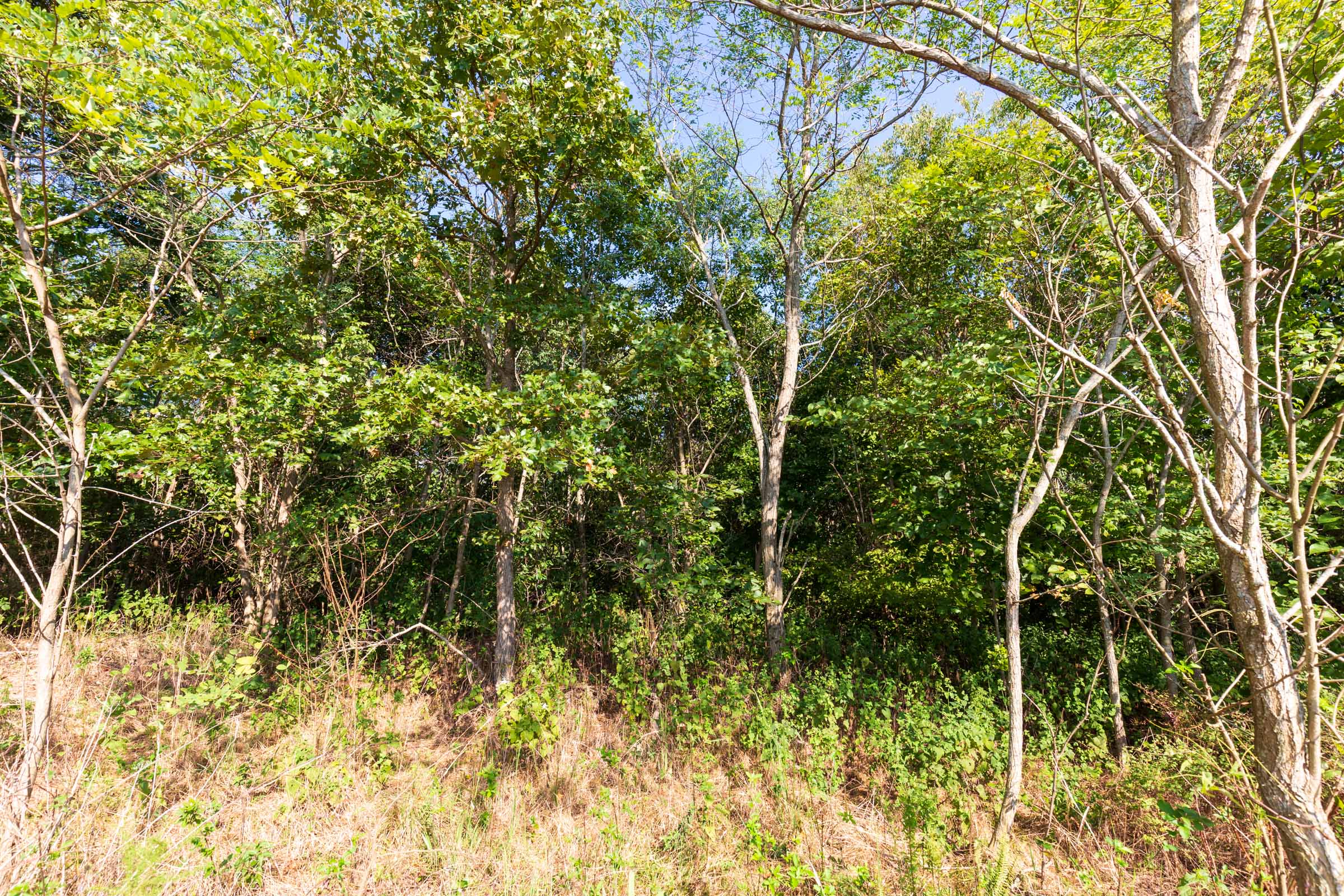 Tract 3 at Redemption Ridge in Wayne County, Tennessee